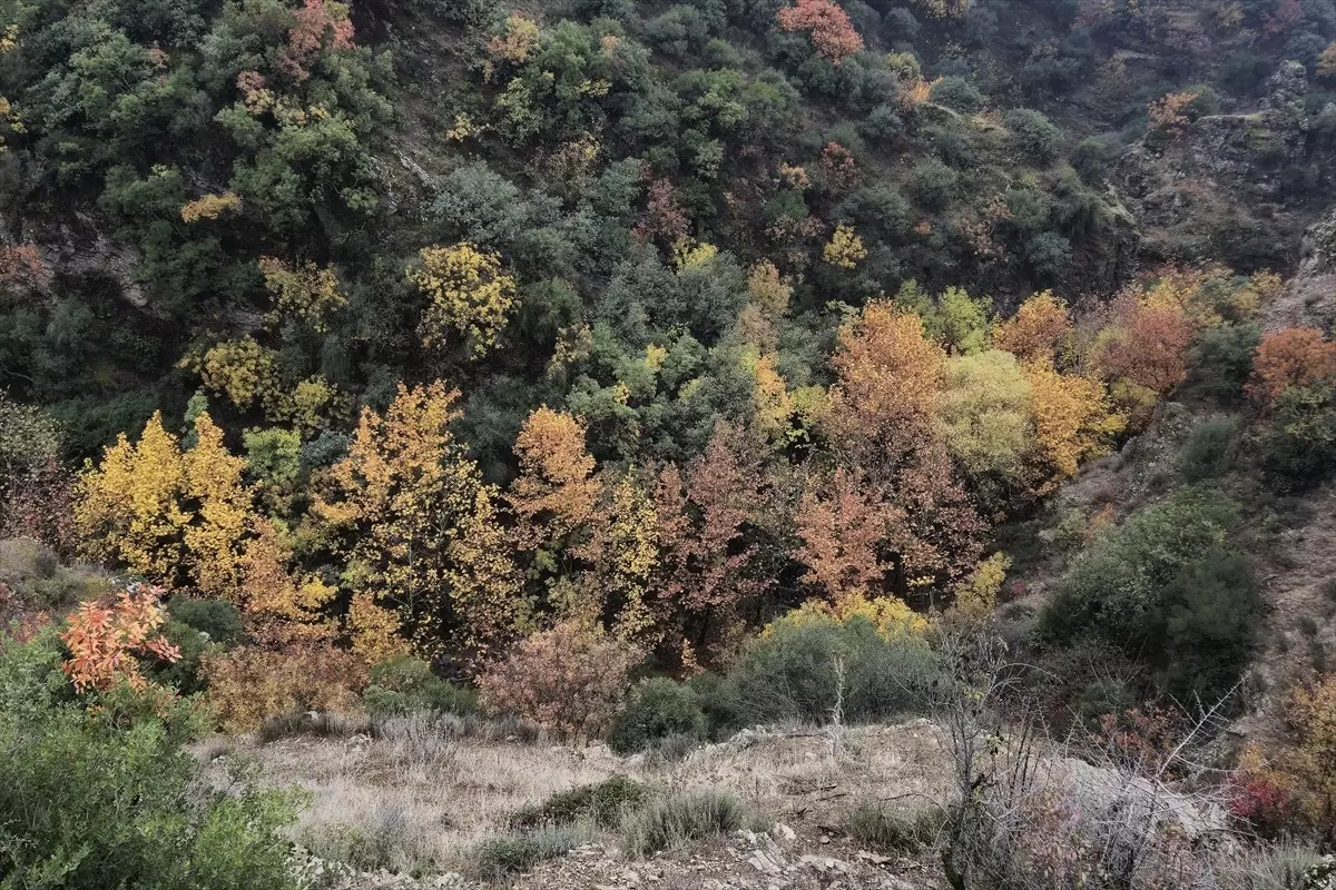 Bozdağ’da Sonbahar Güzellikleri